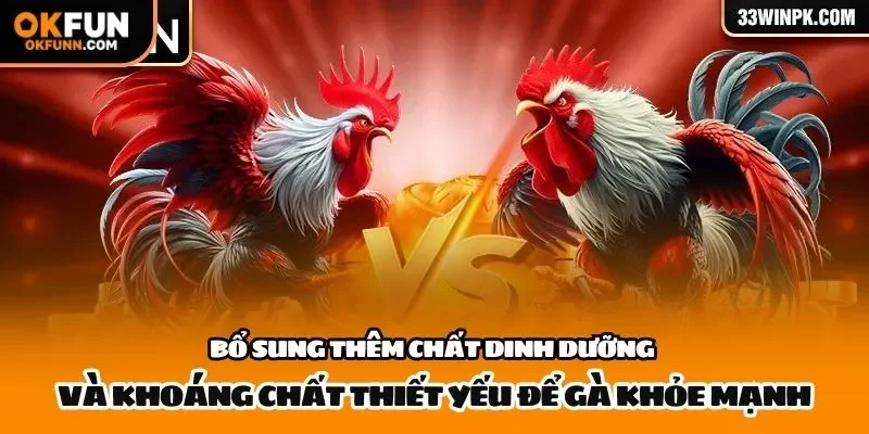 Bổ sung thêm chất dinh dưỡng và khoáng chất thiết yếu để gà khỏe mạnh