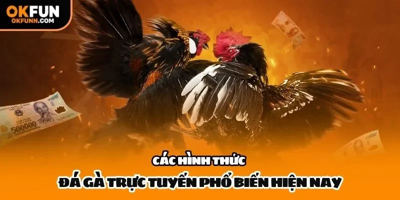 Các hình thức đá gà trực tuyến phổ biến hiện nay