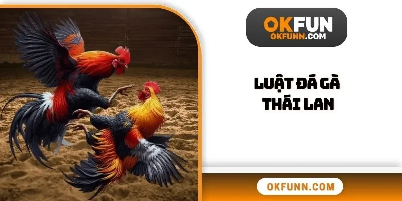Luật đá gà Thái Lan