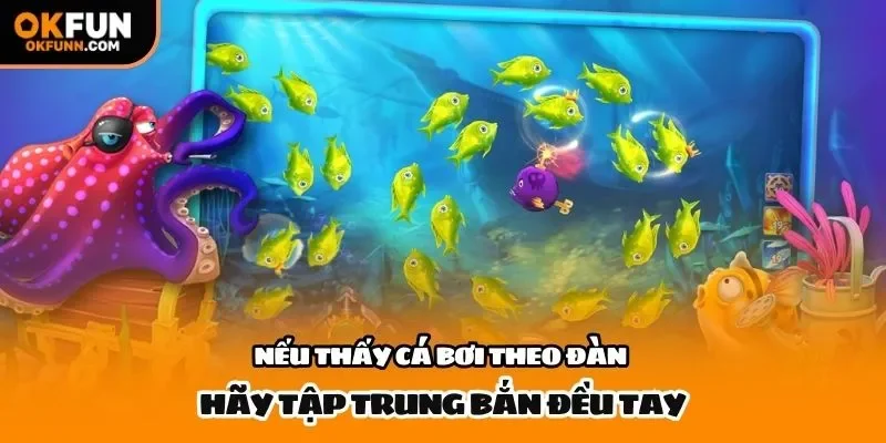 Nếu thấy cá bơi theo đàn hãy tập trung bắn đều tay