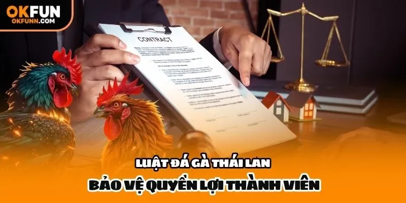 Luật đá gà Thái Lan bảo vệ quyền lợi thành viên