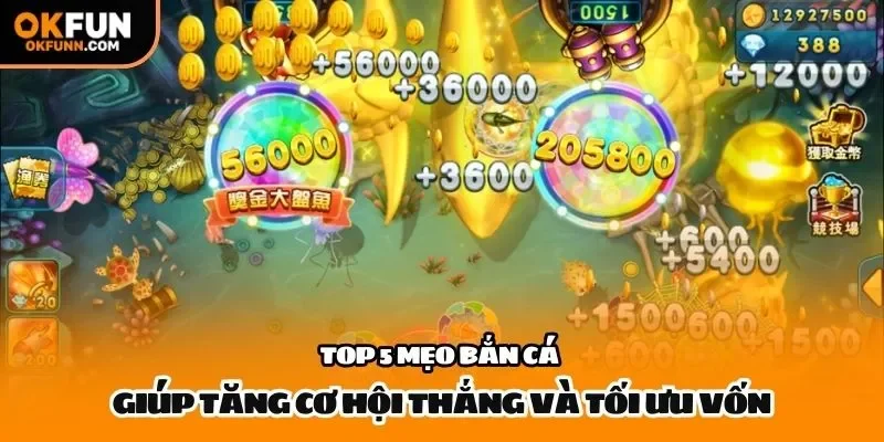 Top 5 mẹo bắn cá giúp tăng cơ hội thắng và tối ưu vốn